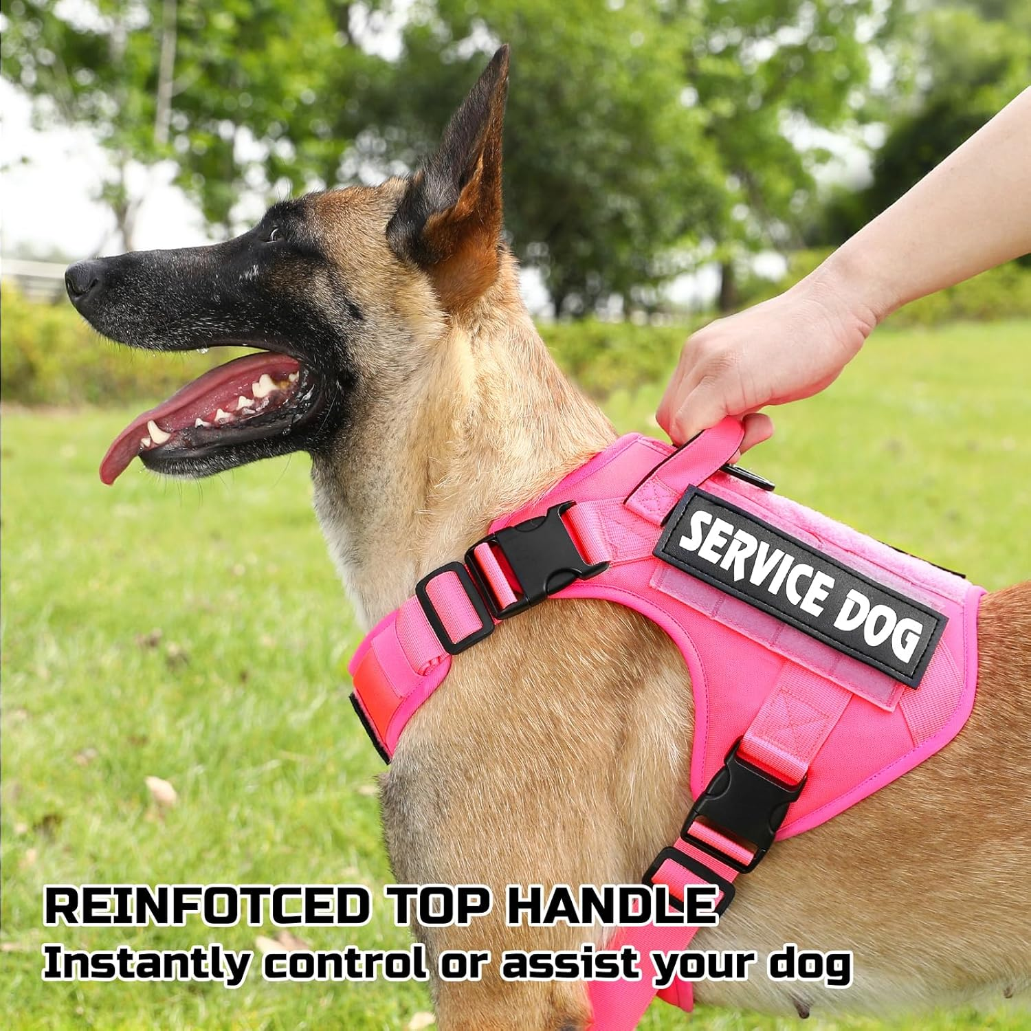 Voopet Tactical Dog Harness - Military Emotional Support Service Dog Vest with Handle & Molle for Medium Large Dogs, Easy Control No Pull ESA Dog Vest with 6 Tags for Working Training image number 4