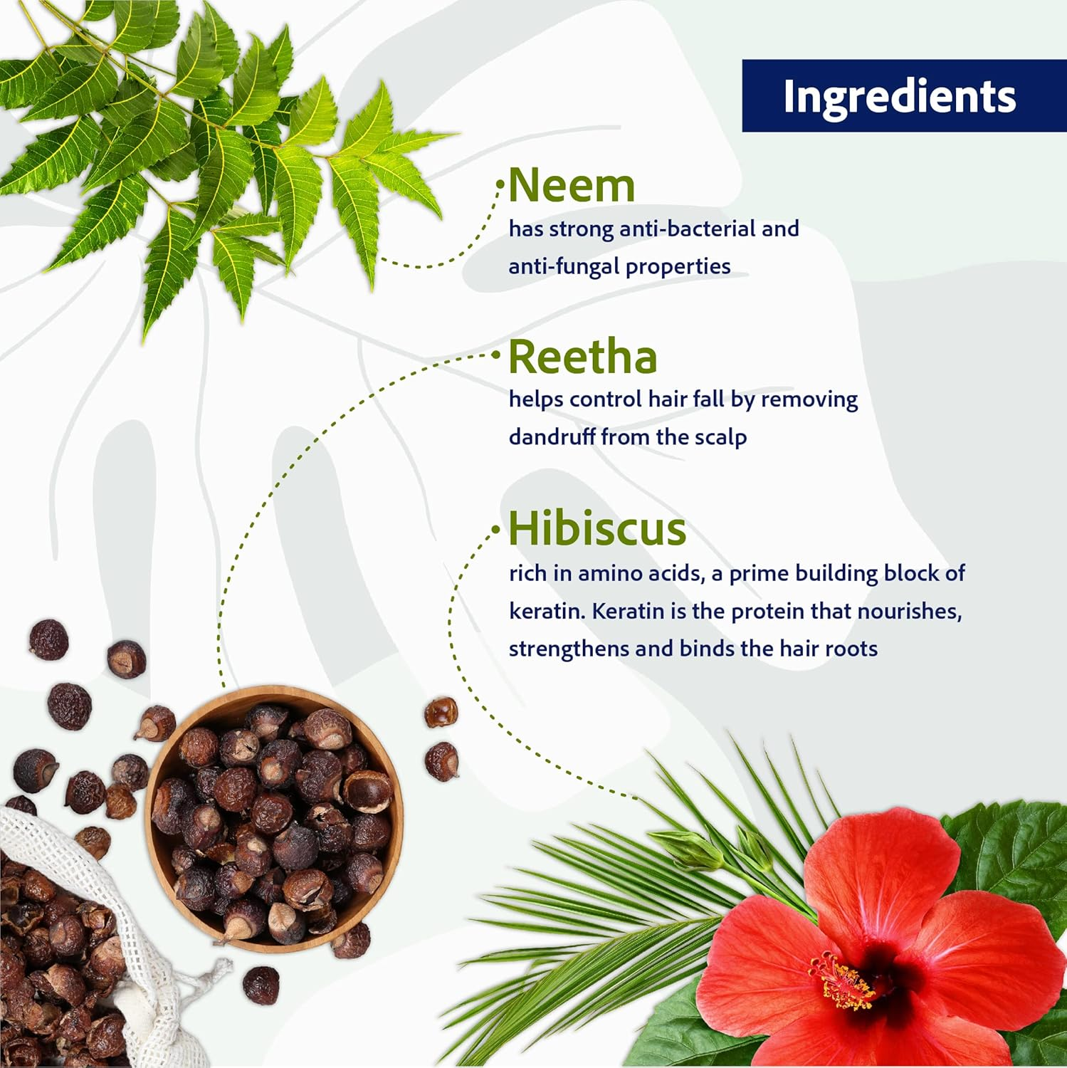 Sri Sri Tattva anti Dandruff Shampoo, 200Ml (Pack of 3) image number 6