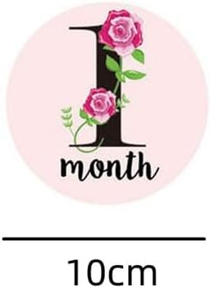 Monthly Milestone Sticker Signs with Flower Patterns: Photography Props and Announcement Sign,12Pcs image number 4
