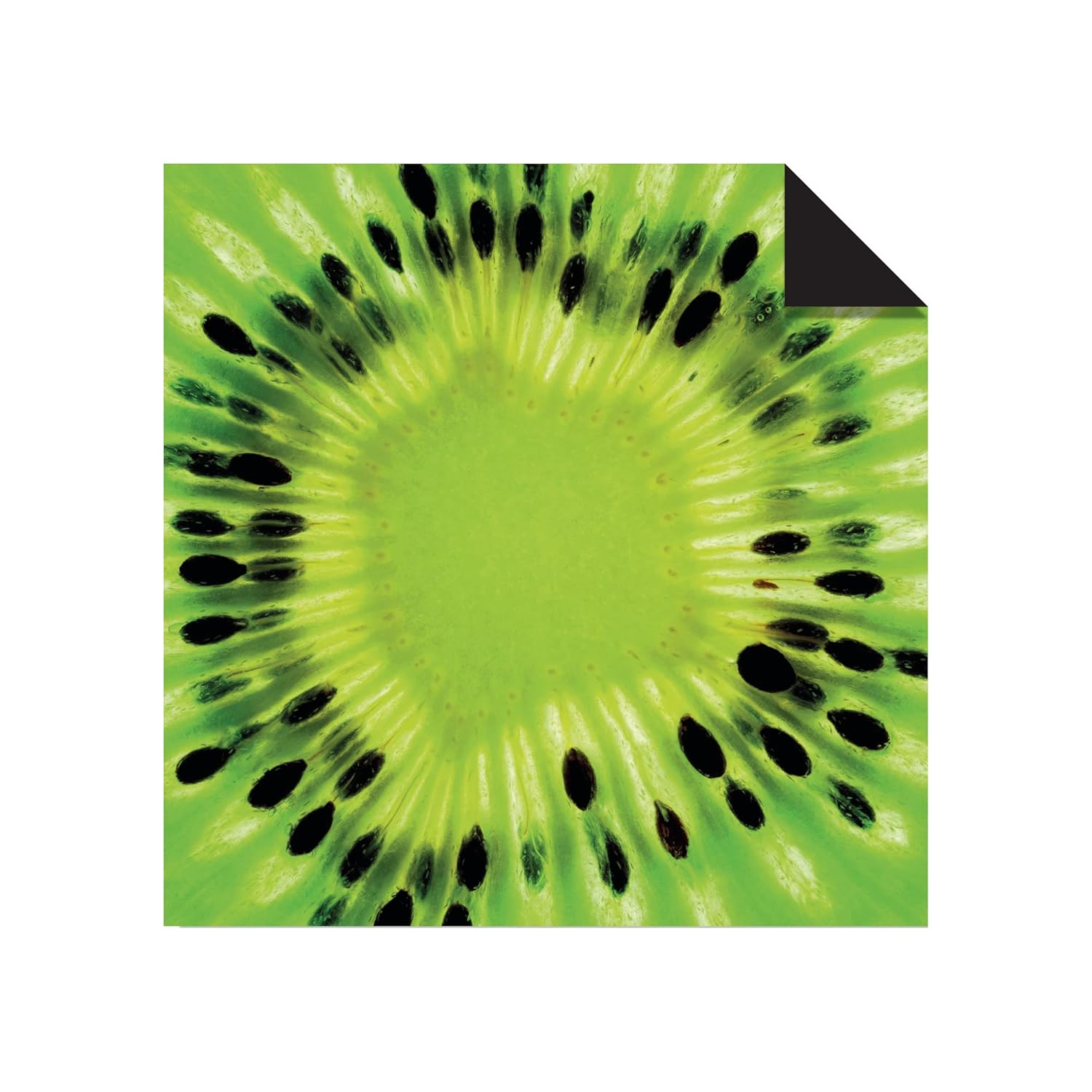 Origami Paper 500 Sheets Nature Photo Patterns 6" (15 Cm): Tuttle Origami Paper: High-Quality Double-Sided Origami Sheets Printed with 12 Different Designs (Instructions for 6 Projects Included) image number 3