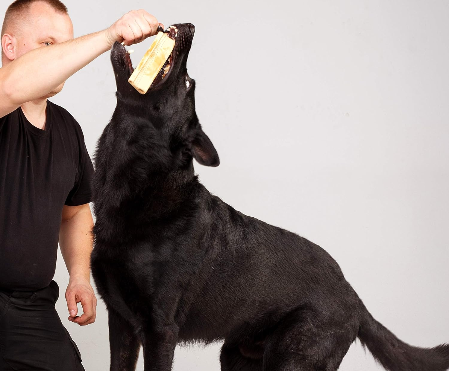 Dingo Gear Dog Bite Tug Handmade of Beige Grain Leather, Strong Tug for Bite Training K9 IPO Agility and Just Fun S00231 image number 5