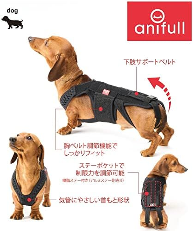 Aniful Dog Coll with M [Dog Corset] Black image number 6