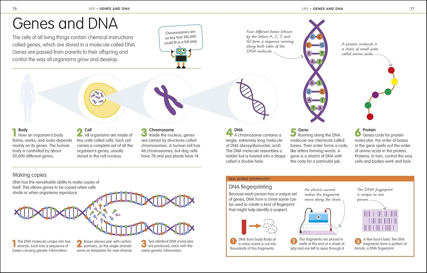 How to Be Good at Science, Technology, and Engineering image number 4