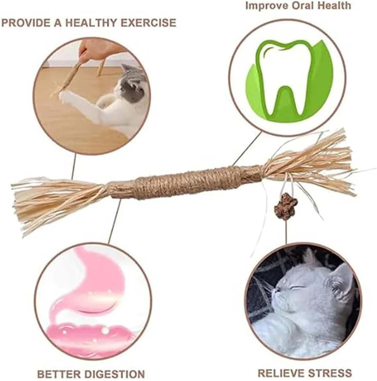 Silvervine Stick - Natural & Safe , Natural Cat Chew Toy, Cat Teething Toy | Stick to Promote Fun Behaviors, Commitment and Wellness image number 6