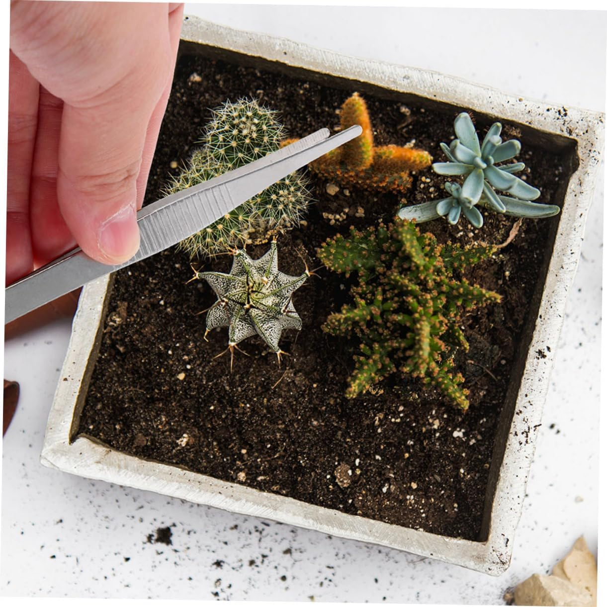 BESPORTBLE 10Pcs Gardening Tweezer Set Serrated Tip 18Cm Long Plant Tweezers for Bonsai Craft and Garden Use Portable Household Garden Tool image number 2