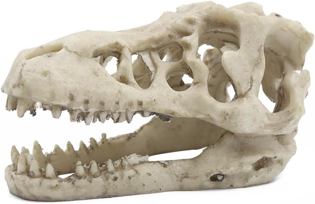 NUZAMAS Dinosaur Skull Skeleton Ornament Resin Artificial Dinosaur Skull Shape Fish Tank Ornament Cave Decoration Hiding Climbing Shelter for Fish Tortoise
