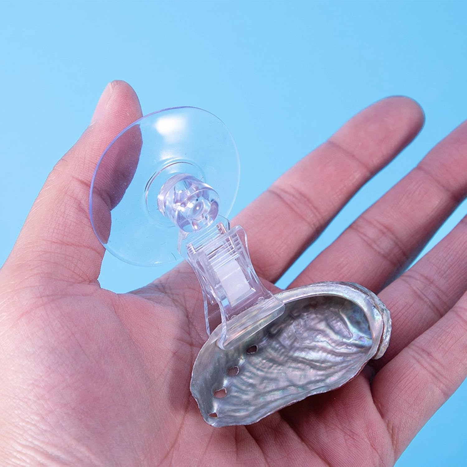 Aquarium Betta Hammock, Betta Hammock - Aquarium Suction Location | Fish Resting Place for Pet Betta Concentrated Activity, Swimming Play Tank Accessories