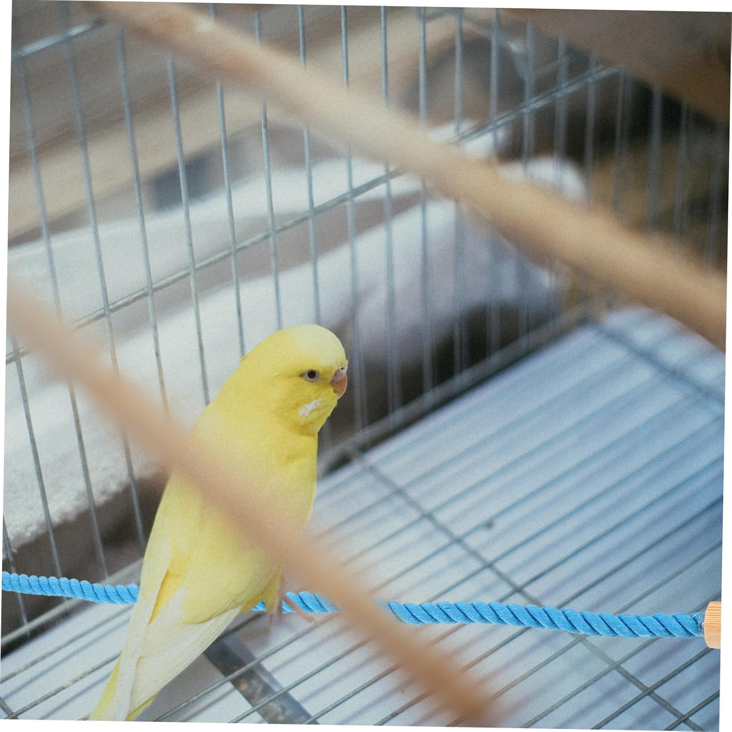 1Pcs Wezxrauo Natural Rope Perch Swing for Birds - Durable Chewable Climbing Toy with Fixed Design, Ideal for Small Parrots Lovebirds Finches Canaries Budgies Cockatiels Cage Accessories image number 2