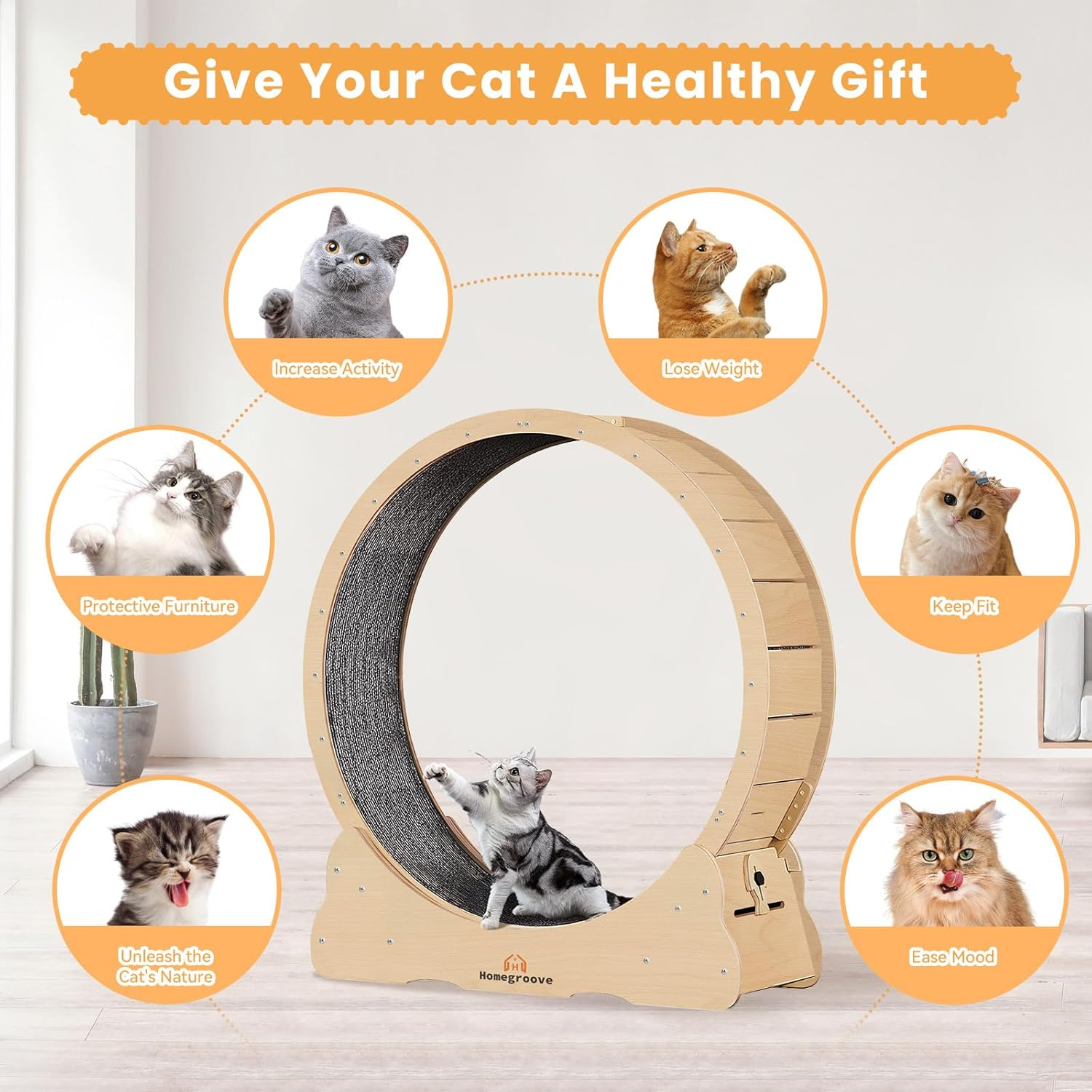 Homegroove Cat Exercise Wheel, 45 Inch Large Cat Wheels for Indoor Cats,Versatile Cat Running Wheel Treadmill with Detachable Carpet for Cat'S Weight Loss and Health (Natural Wood Color, XL) image number 2