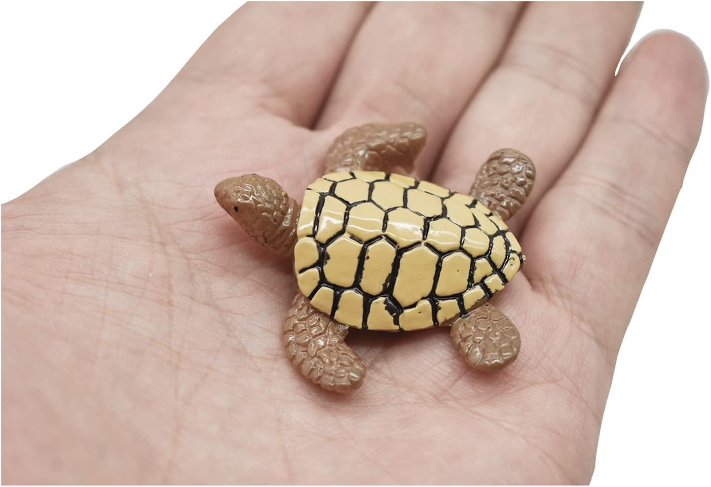 Pinenjoy 12Pcs Miniature Sea Turtle Figurines Resin Turtle Statue Fairy Garden Accessories for DIY Crafts Birthday Cake Succulent Planter Moss Landscape Terrarium Fish Tank Decoration image number 3