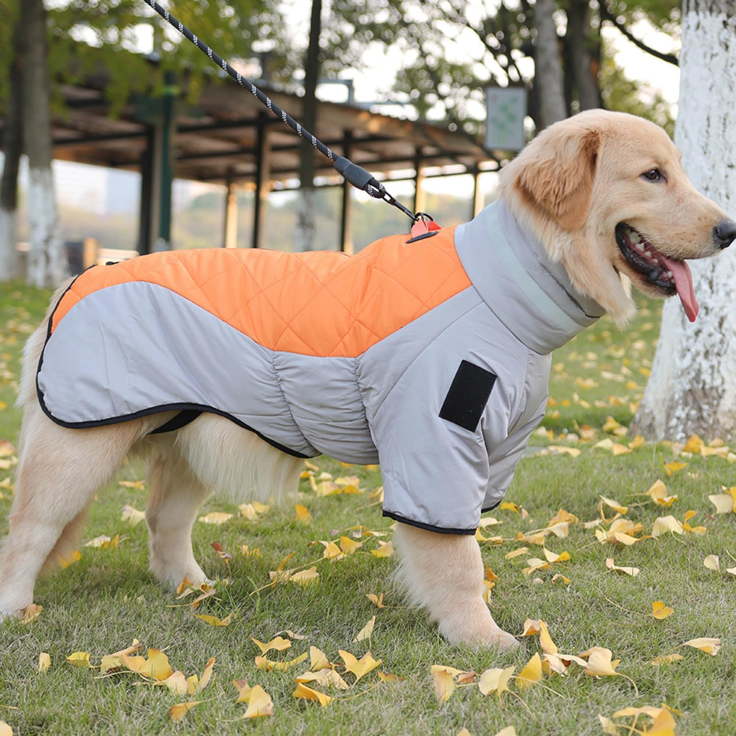 Dog Raincoat - Waterproof Dog Coat (Grey + Orange, S)