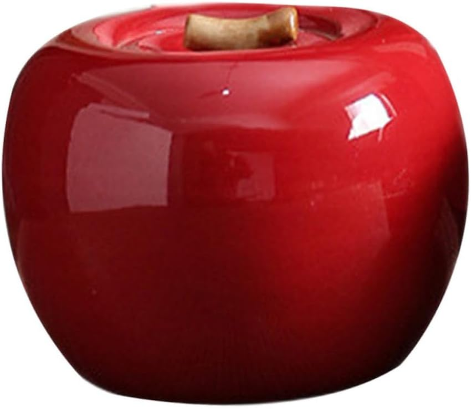 RORPOIR 1Pc Adorable Tea Canister for Tea Storage Compact Decorative Container for Home For