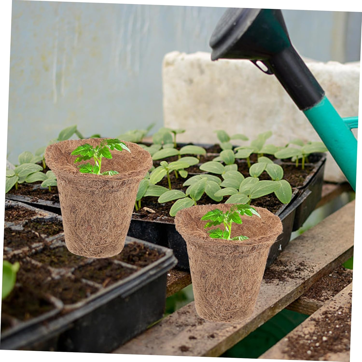 Sosoport Plant Starter Pots 35Pcs Nursery Pots for Direct Planting Germination Growing Pots Fiber for Home Gardening image number 3