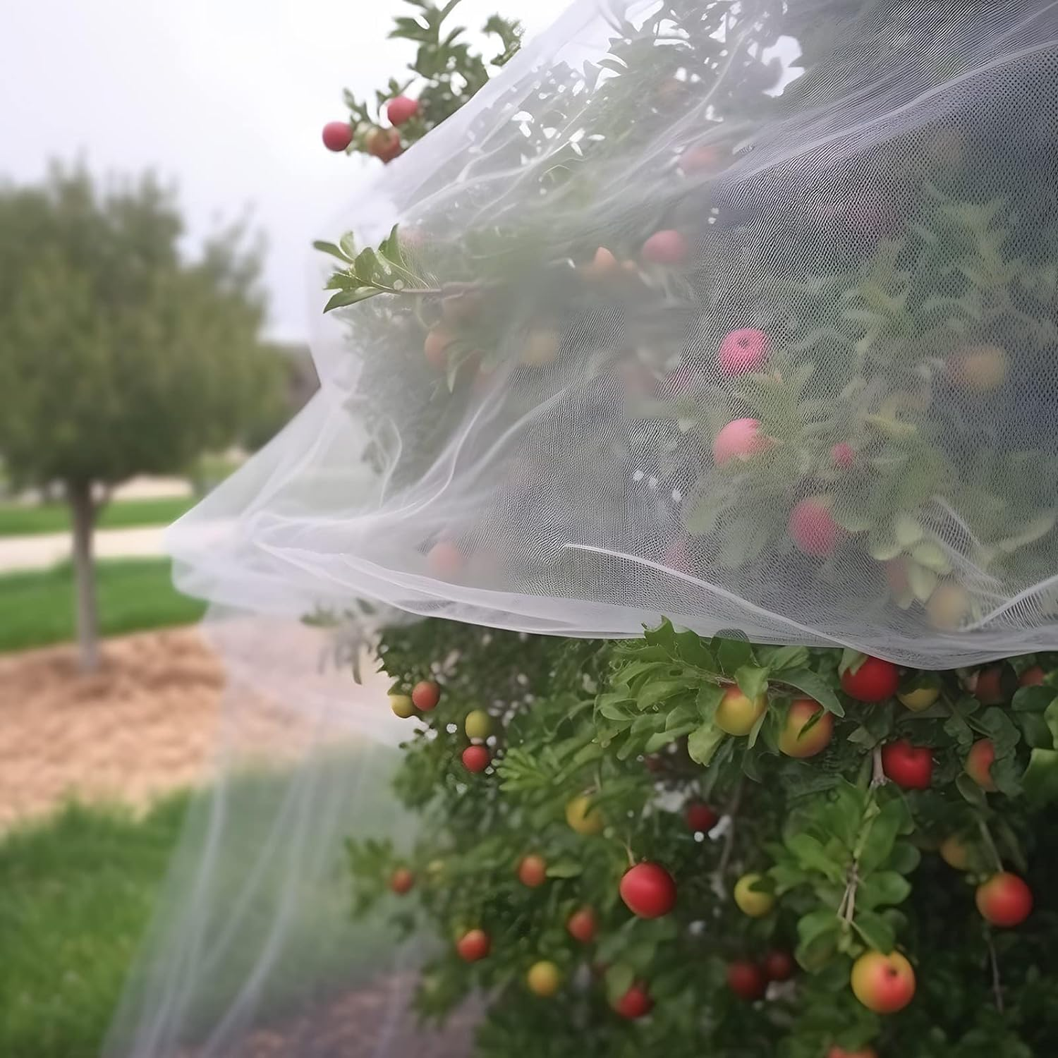 Garden Netting, Plant Covers 10 * 30FT Net Ultra Fine Mesh Protection Netting for Vegetable Plants Fruits Flowers Crops Greenhouse Row Cover Raised Bed Barrier Screen Protection image number 1