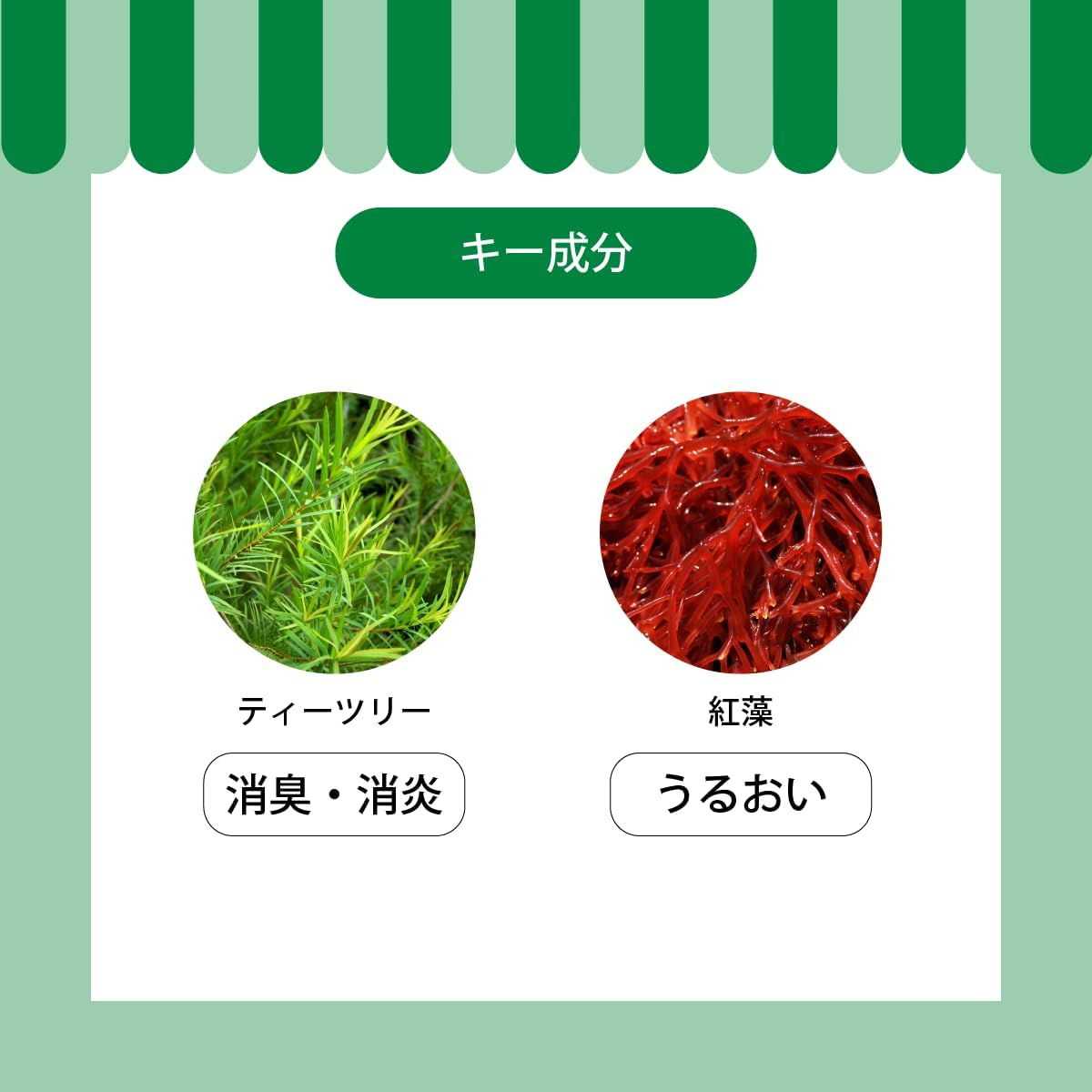 A.P.D.C. Tea Tree Shampoo, 1.3 Gal (5 L) (New Packaging), Suitable for All Dog Breeds, Fluffy, Herb, Tea Tree Scent image number 6