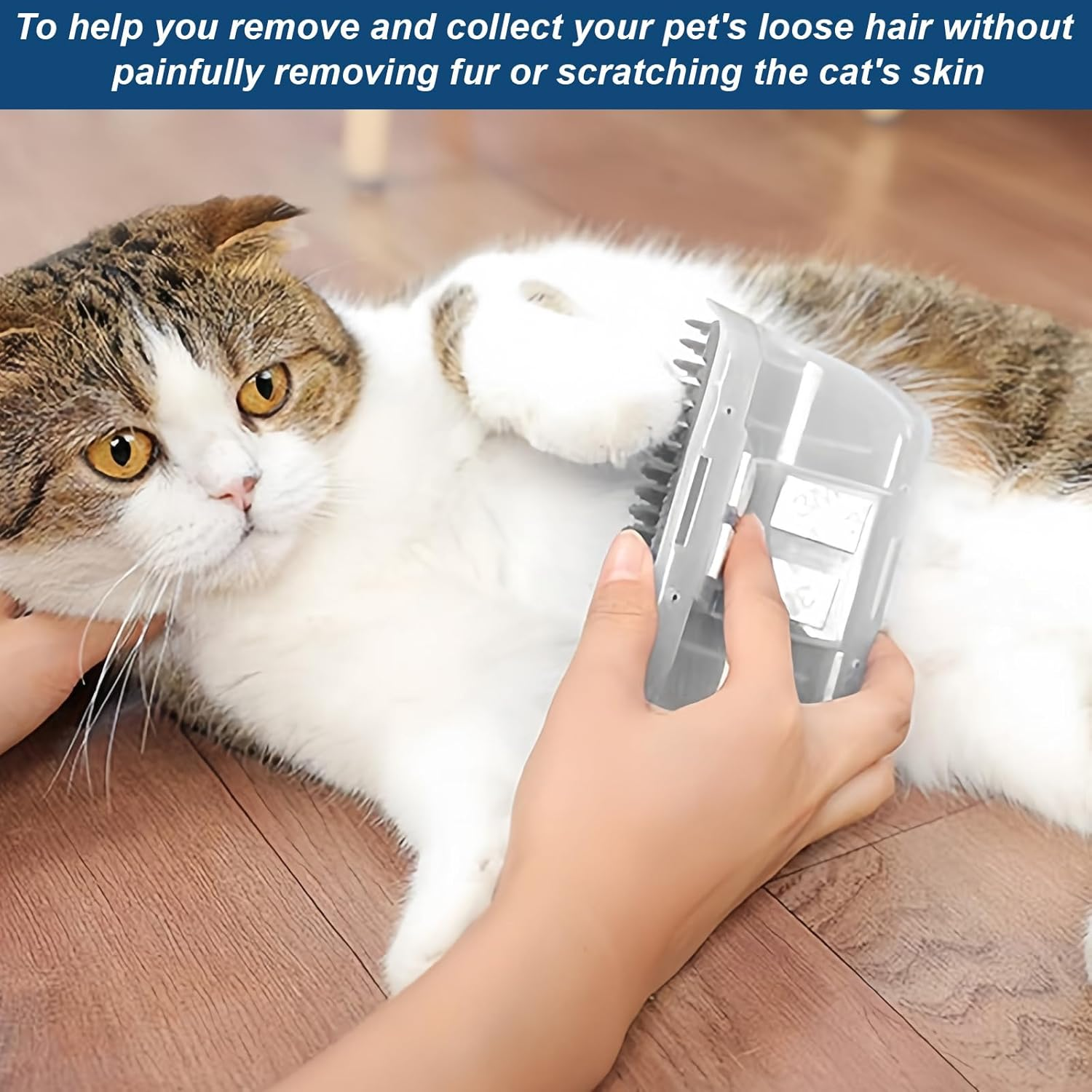 2 Pack Cat Brush, Wall Corner Scratcher Groomers Soft Grooming Massage Combs, Softer Cat Corner Self Groomer with Catnip, Interactive Cat Toy for Long & Short Fur Kitten Cats Dogs image number 1