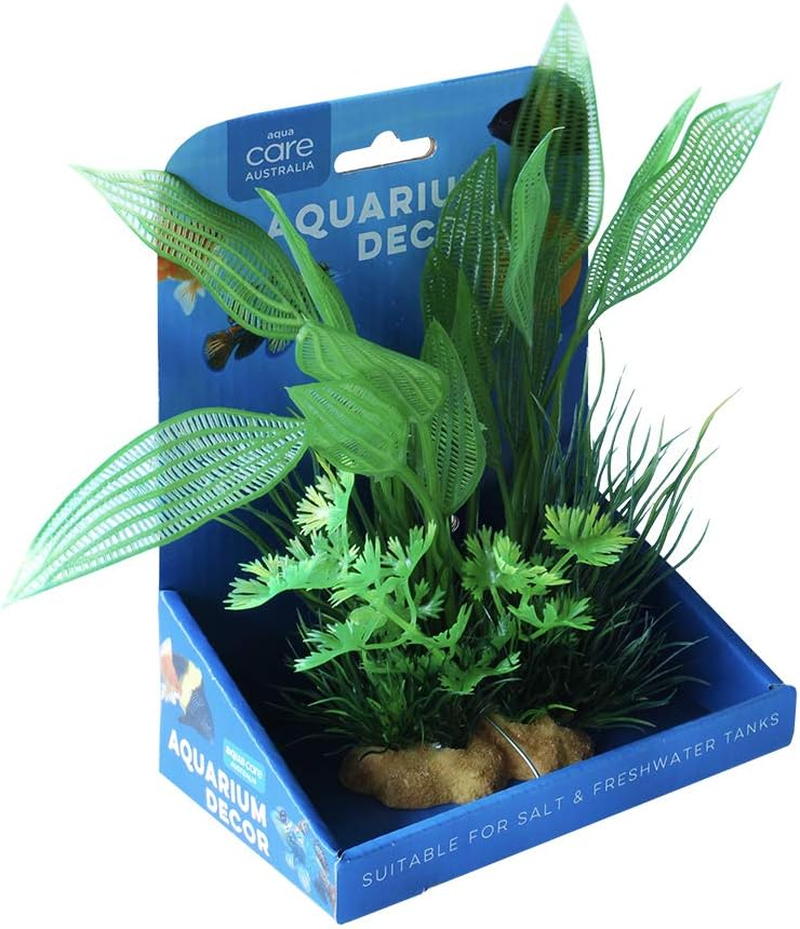 Aqua Care Resin Base Aquarium Decoration Plant - Adds Color & Hiding Spots for Fish, Non-Toxic, 20 Cm Height, Fish Tank, Suitable for Freshwater & Saltwater Aquariums,