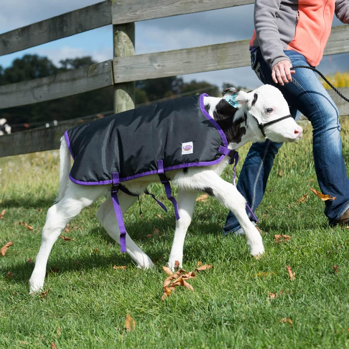 Weaver Leather Livestock Pro Calf Blanket image number 1