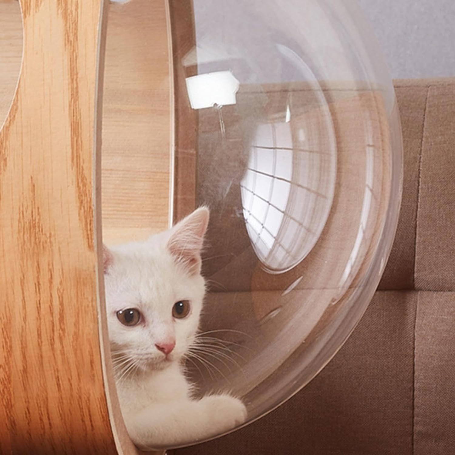 JISADER Space Clear Capsule Dome Cover Acrylic Bed, Transparent Replacement Furniture Nest for DIY Skylight Window Perch Cat Climbing Frame Hammock, 40Cm image number 1