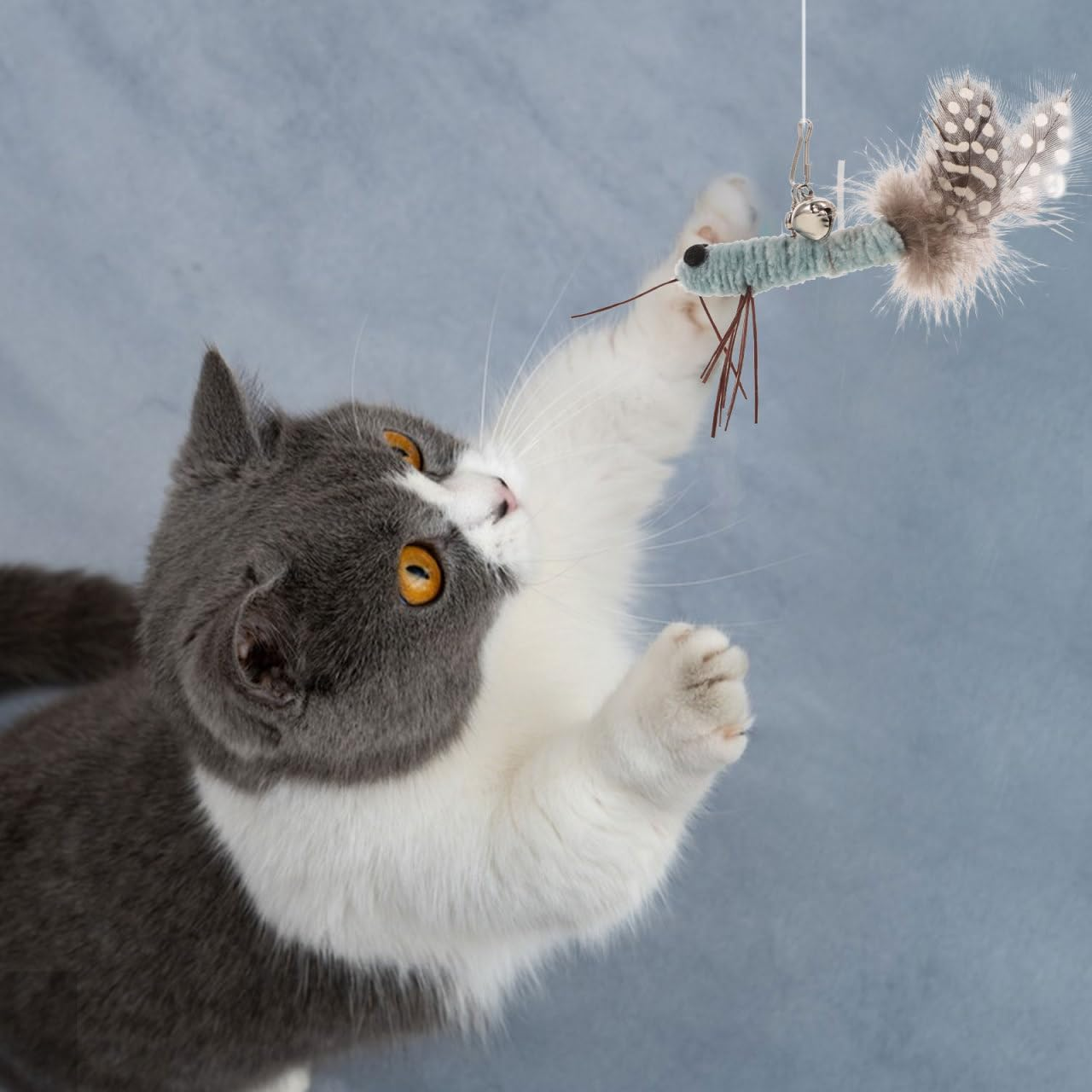 Kisangel 2Pcs Cat Teaser Replacement Heads Toys, Cat Insect Dragonfly Heads for Kitten Indoor Toys Attachment Plaything