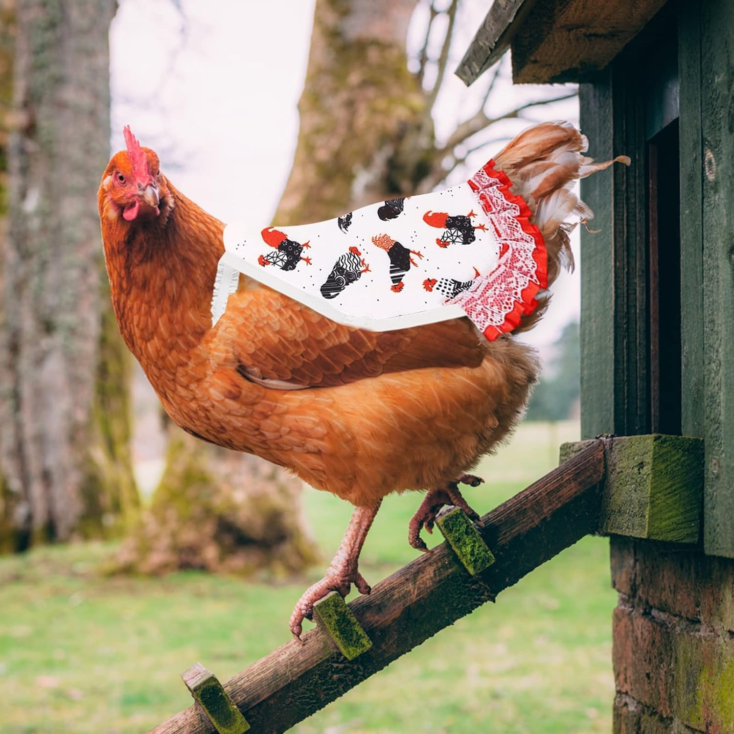 Chicken Saddles Hen Apron with Elastic Strap,2Pcs Standard Chicken Saddle Hen Apron with Elastic Straps Back Wing Protector, Chicken Saddle for Hens,Chicken Saddle Hen Aprons Jacket Straps Hen Apron image number 5