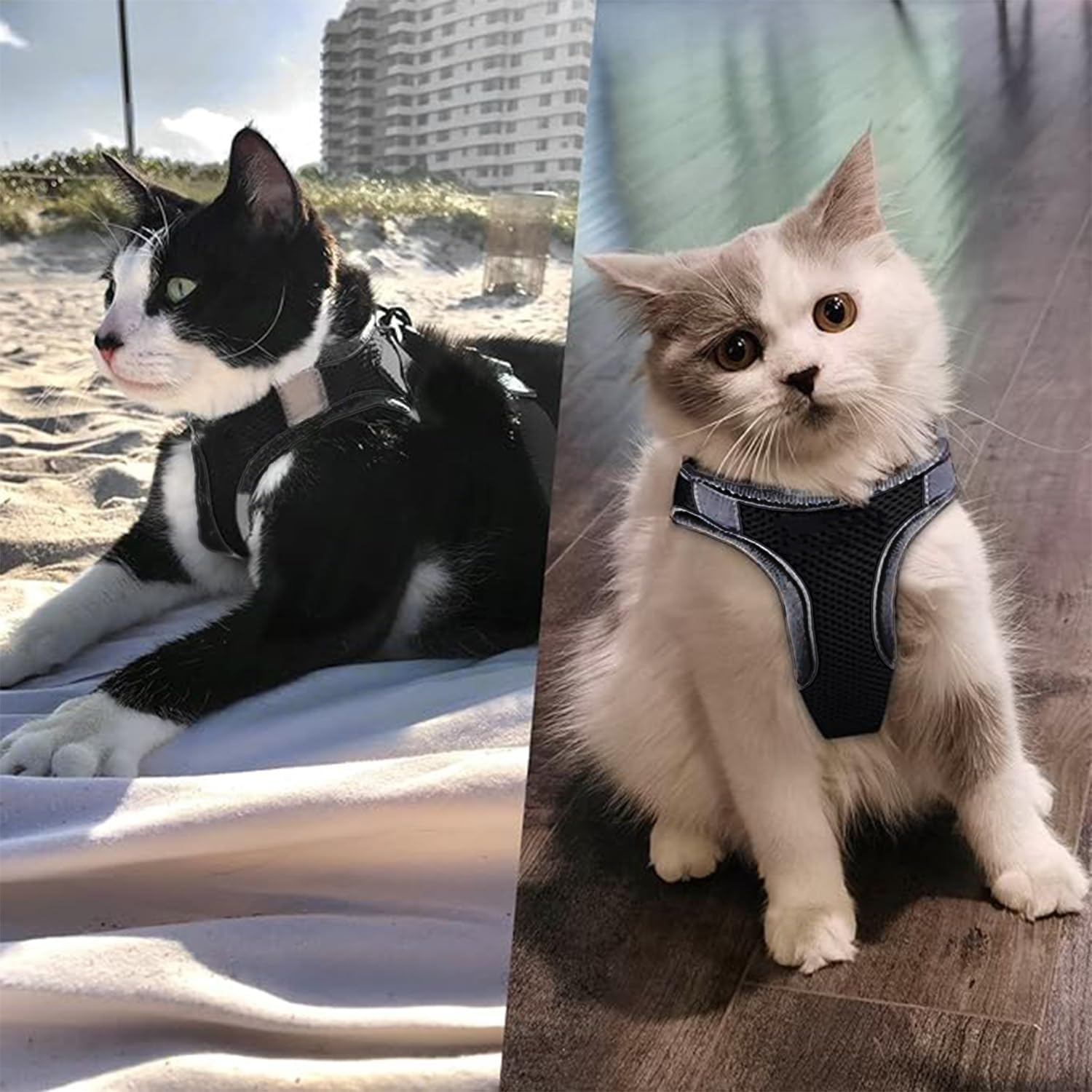 1 Pack Cat Harness, Outdoor Mesh Puppy Harness, Adjustable Pet Harness, Pet Mesh Lead, Anti-Escape Kitten Harness, Suitable for Cats, Dogs (Black, M)