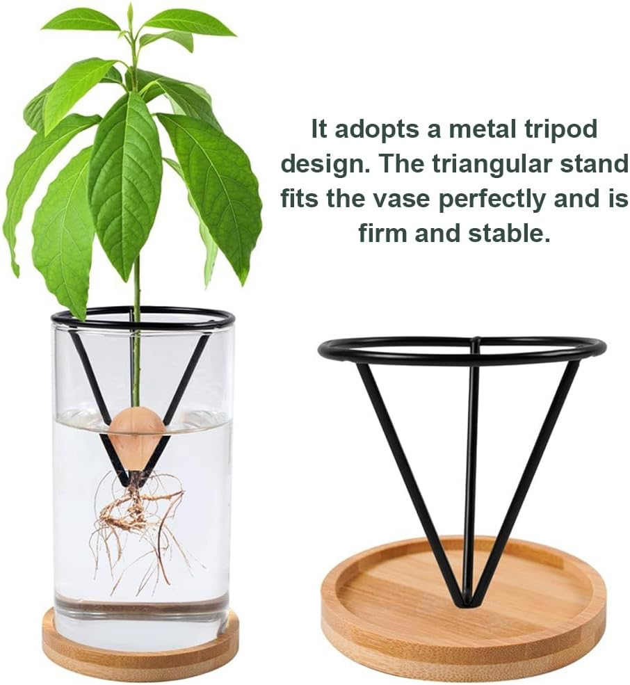 Avocado Tree Planter Pot, 2 Pack Avocados Tree Growing Kits, Avocados Growing Vase Wooden Base with Metal Triangle Bracket and Bamboo Base for Grow Avocado Seeds, Herbs and Small Trees