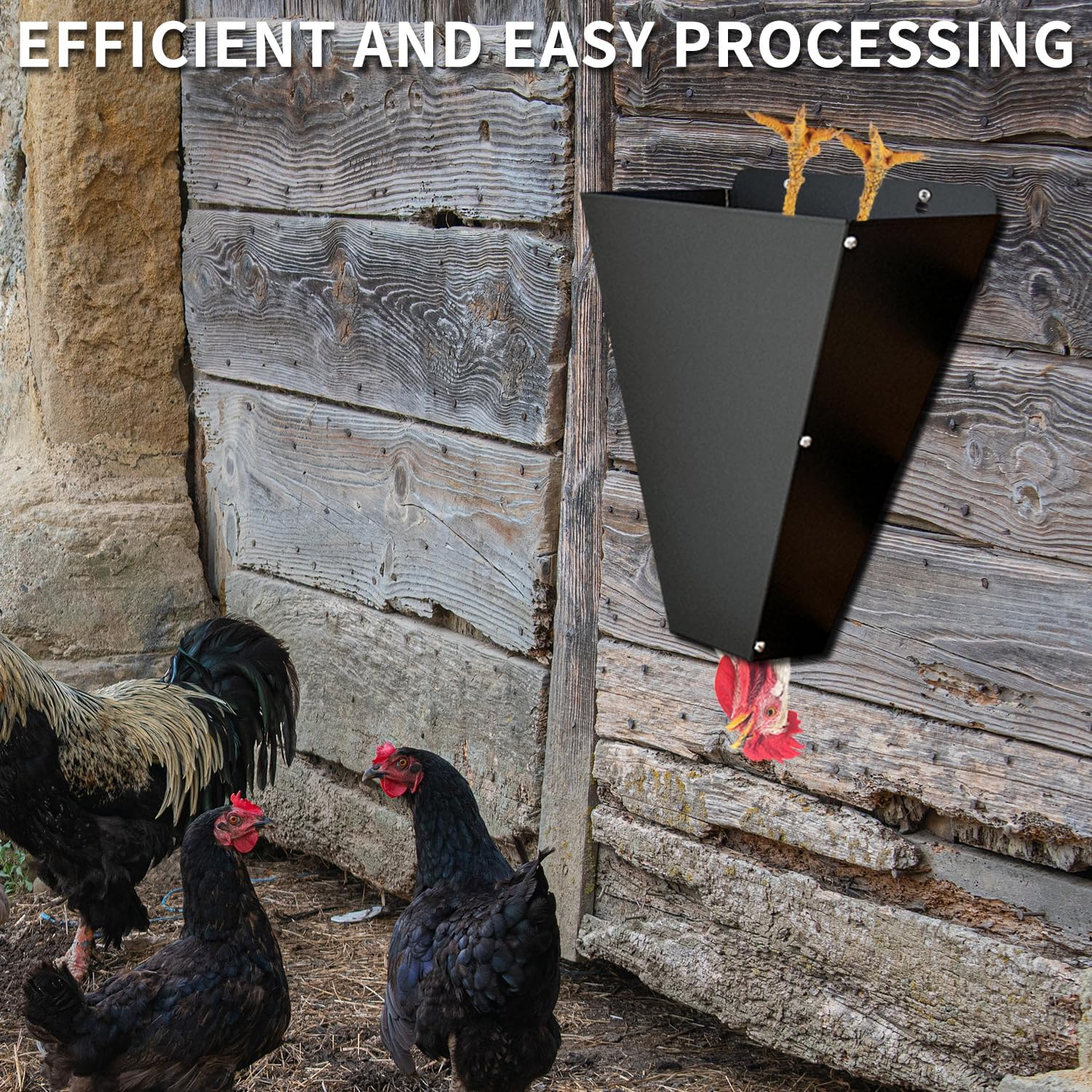 Medium Size Chicken Cone, Heavy Duty Steel Poultry Restraining Cones for Chicken, Flat Back Funnel Design, Killing Cone for Layers, Broilers, Roasters, Turkeys up to 8 Pounds, Easy to Clean image number 3