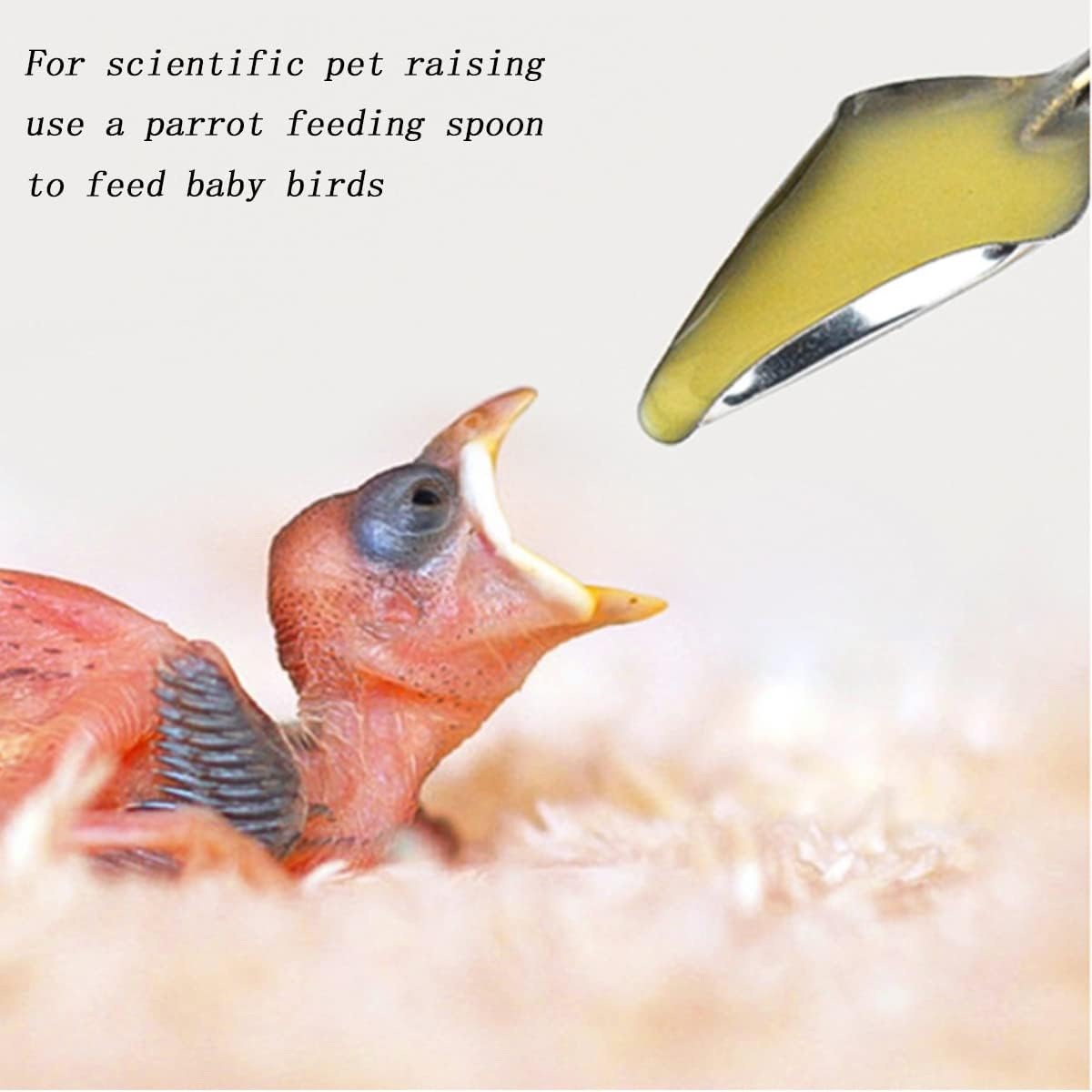 YIUIRUOI 6 Stainless Steel Pet Feeding Spoons, Parrot Feeding Tool, Chick Bird Feeder. image number 2