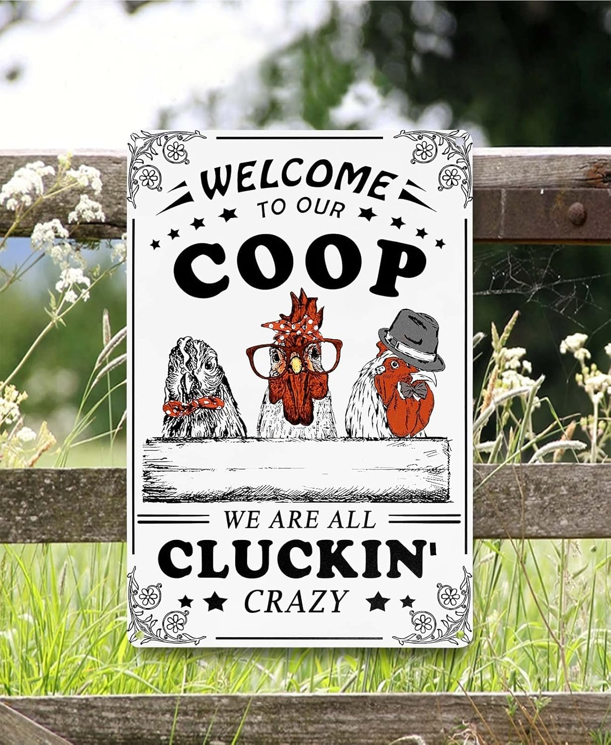 Welcome to Our Coop We Are All Cluckin Crazy Funny Chicken Sign Chicken Coop Sign Chicken Decor 12" * 8" (215)