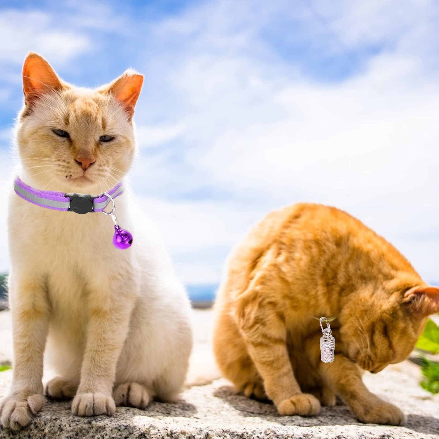 Cat Collar, Address Tag, Dog Cats, Adjustable Collar, Reflective Cat Collar with Bell and Safety Clasp, Pet ID Tags (Blue, Purple)