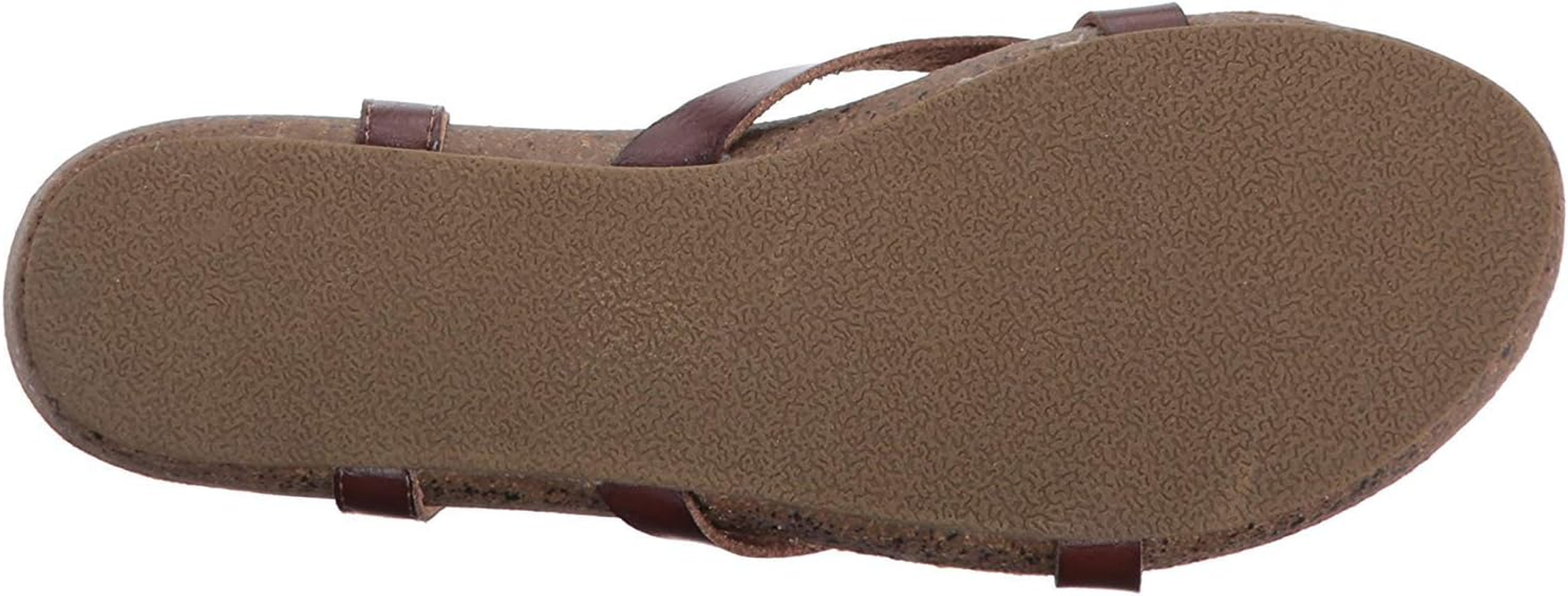 Blowfish Blowfish image number 6