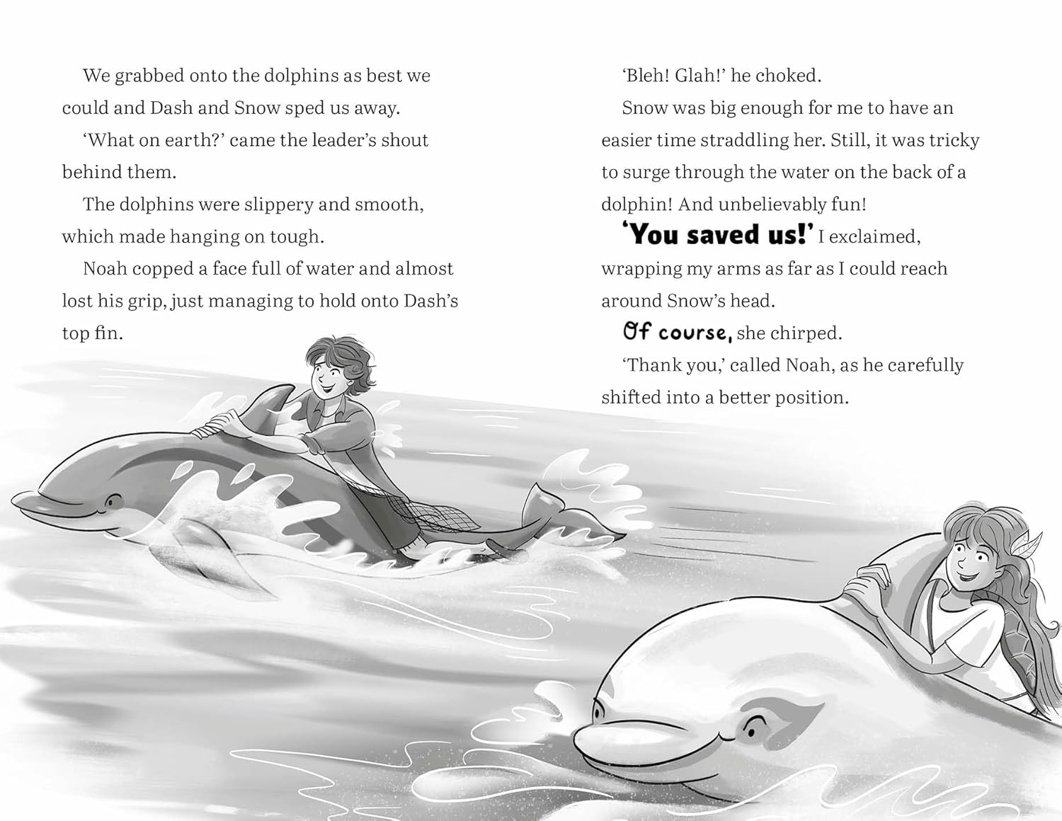 The Lost Island (Dolphin Twins, Book 1) image number 1