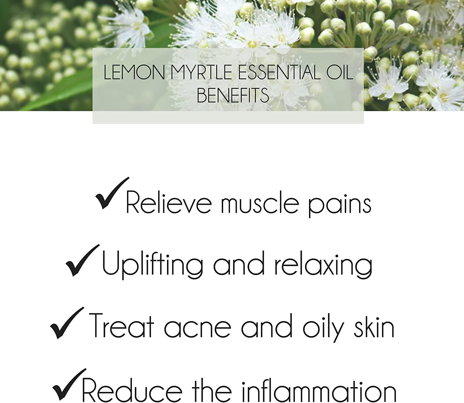 Pure Australian Lemon Myrtle Oil. Lemon Myrtle Essential Oil EO Essence 10Ml