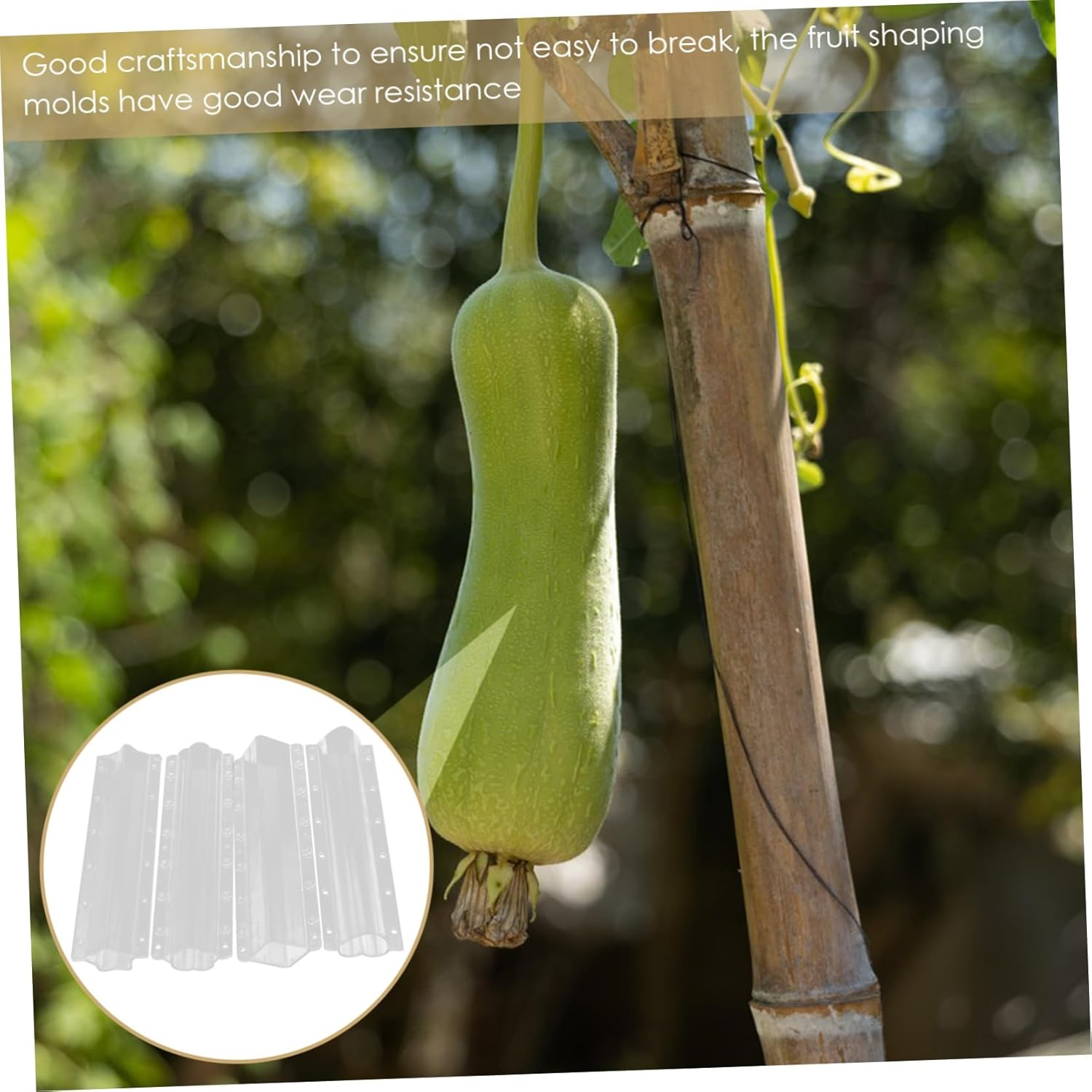 BESPORTBLE 4Pcs Reusable Vegetable Shaping Molds Fruit Growing Molds Melon Ginseng Fruit DIY Gardening Tools for Boys and Girls Adults image number 5