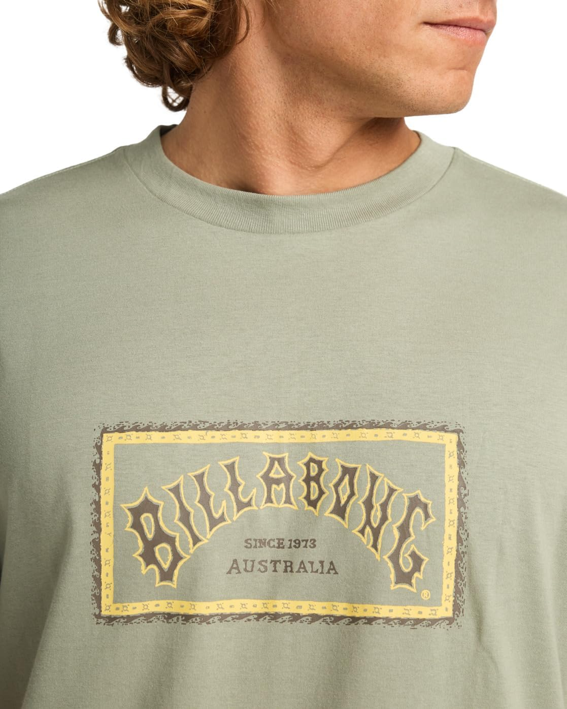 BILLABONG Men'S Arch Frame SS T-Shirt (Pack of 1) image number 6