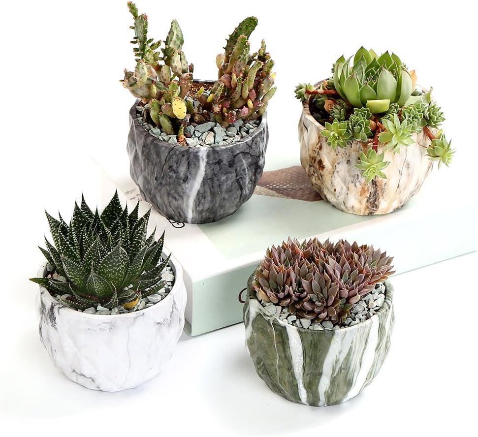 Sun-E SE Modern Style Marbling Ceramic Flower Pot Succulent/Cactus Planter Pots Container Bonsai Planters with Hole 3.35 Inch Gift Idea(4 in Set) Plants Not Included image number 3