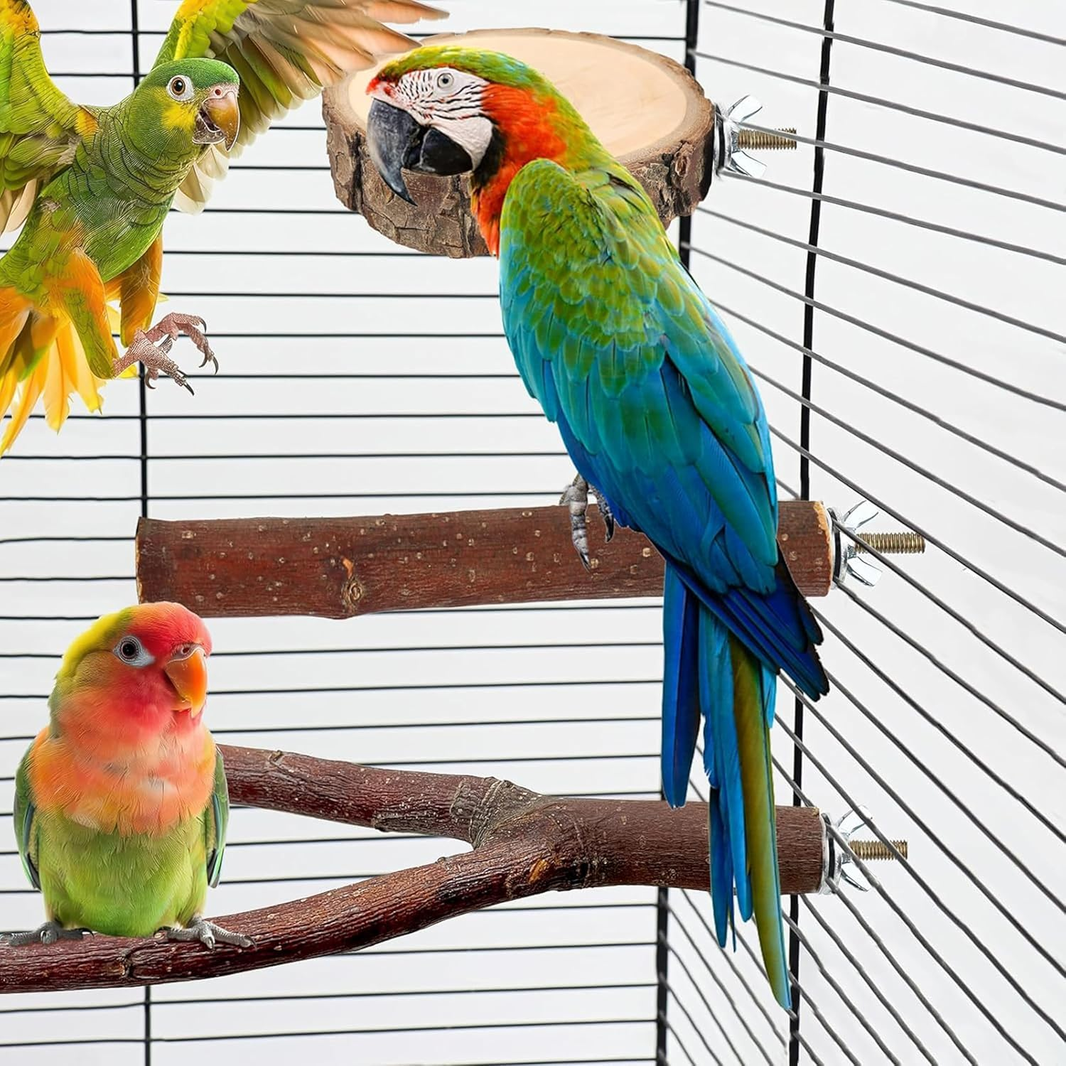 Bird Perches 6 Pack Parakeet Toys Wooden Parrot Stand Branch,With Bird Feeding Cup Set,Round Platform Paw Grinding Stick Platform Bird Exercise Training Climbing Toys for Bird Cage Accessories image number 2