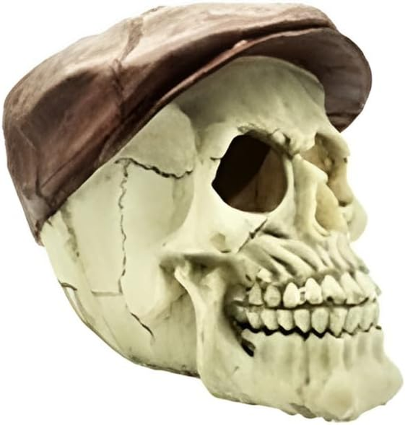 AIMALL Artificial Fake Skull Head Bone Aquarium Ornament Fish Tank Decoration, Safe for All Aquatic Environments, Realistic Design for Reptile Terrariums image number 4
