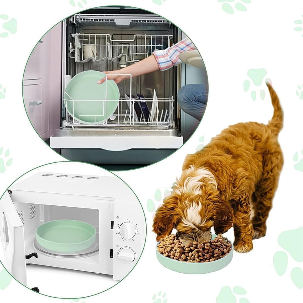 GIGIIS Silicone Cat Feeding Bowl, Pack of 2, Flat Cat Bowl for Dry and Wet Food, Suitable for Cats, Small Dogs, Hedgehogs, Rabbits (Green and Blue)