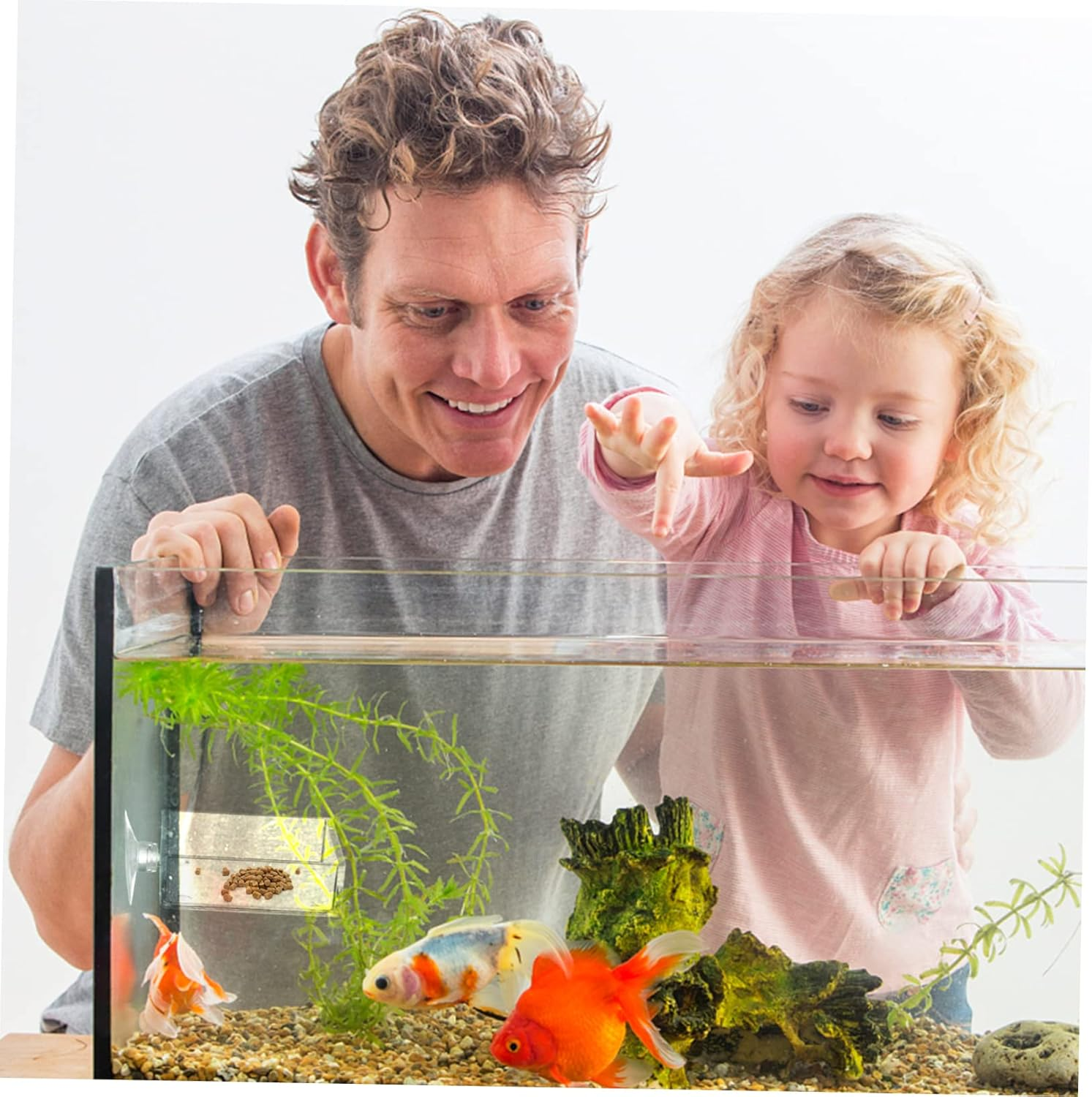 VILLFUL 4Pcs Aquarium Feeding Device Cup Shrimp Feeder Bowl for Fish Tank Easy to Clean Fish Food Dispensing Tray for Aquatic Pets