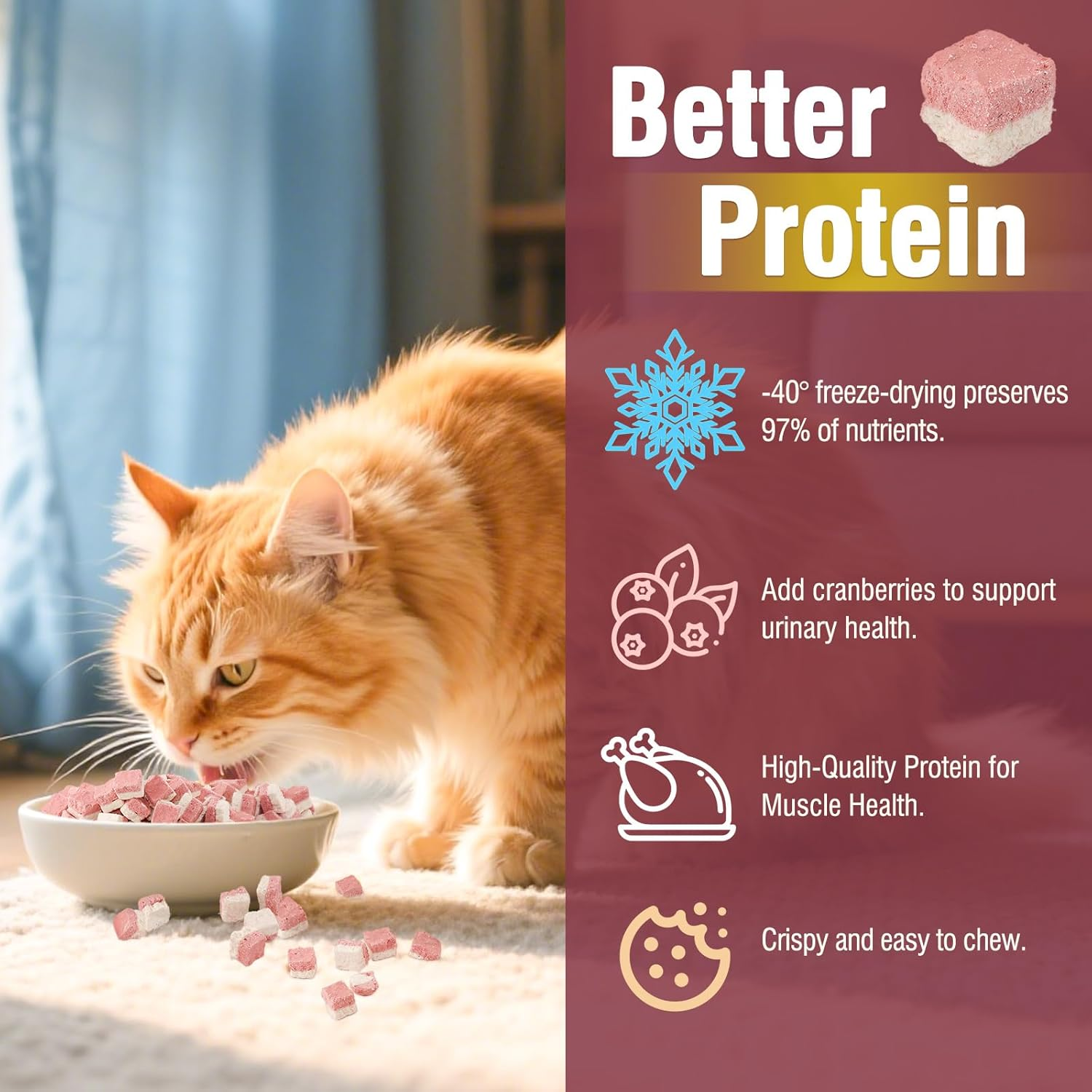 Freeze Dried Chicken Cat & Dog Treats with Cranberry, Natural Ingredient High Protein Training Treats or Food Topper, Rich in Antioxidants for Skin & Coat Health, Grain Free & Natural image number 6