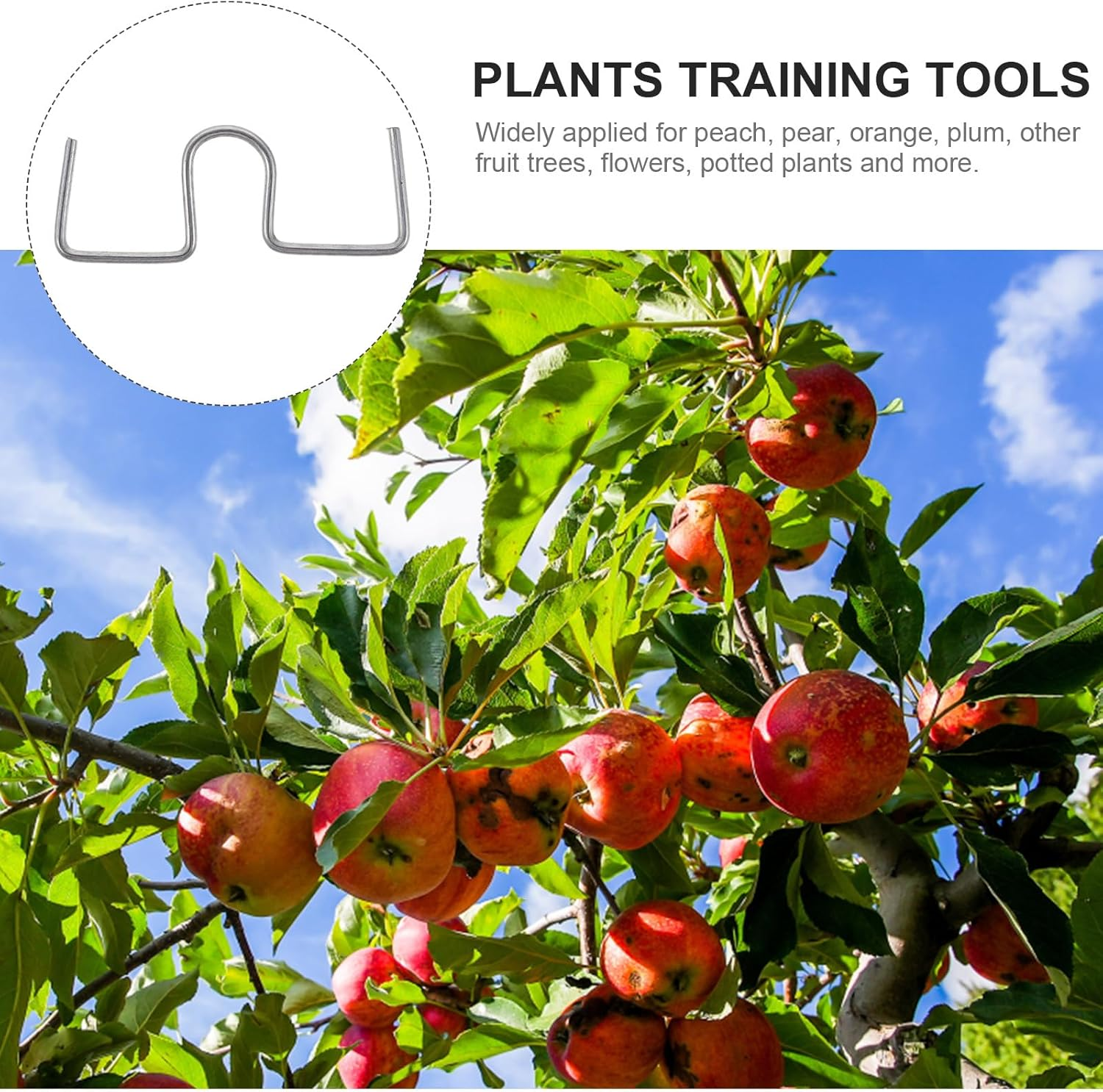 DOITOOL 25PCS Fruit Tree Branch Puller Plum Tree Open Angle Pull Branch Bending Tool Fruit Tree Branch Spreaders Farm Tools Branch Bending Tool, Fruit Trees Branch Support image number 4