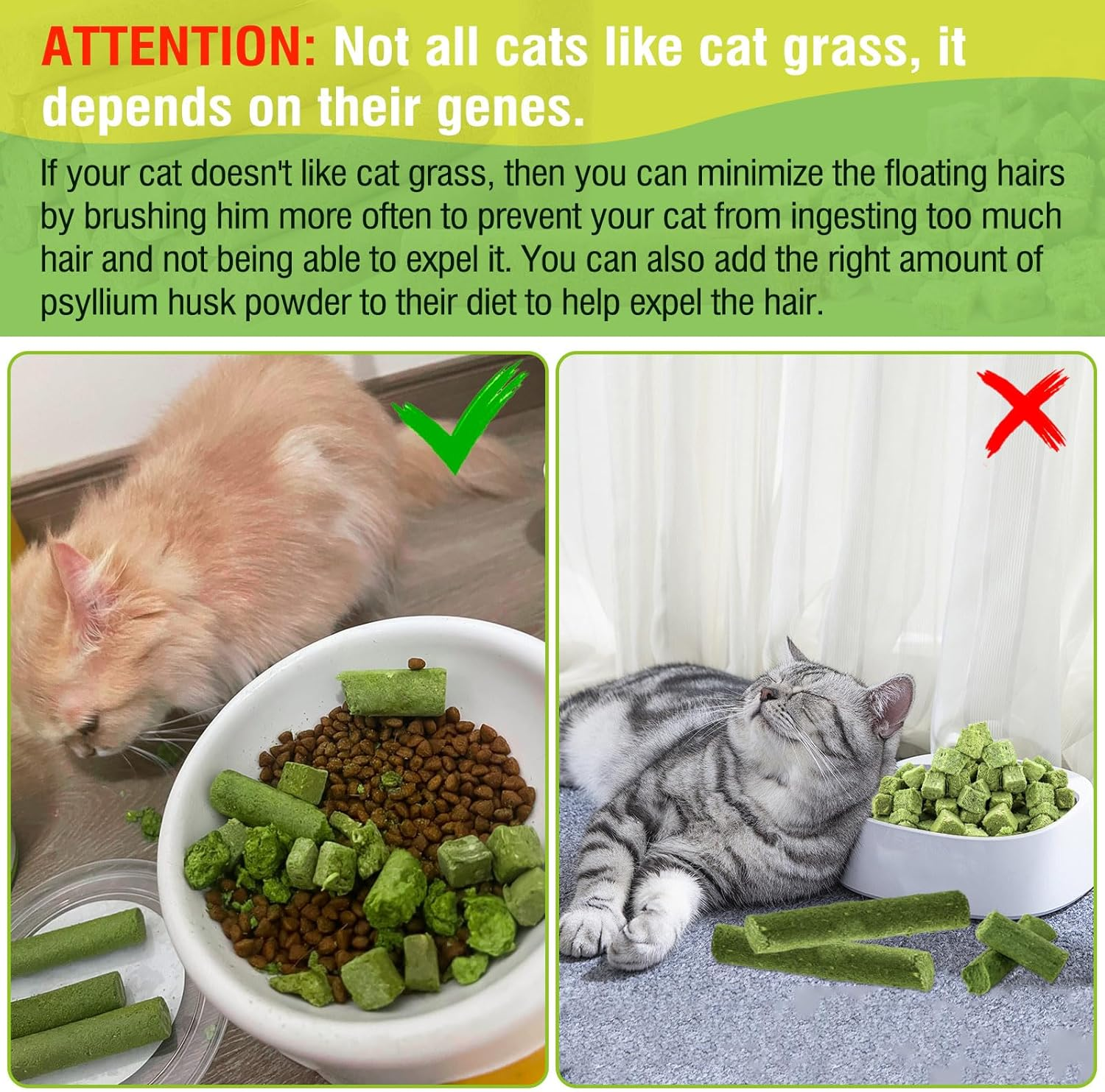 50G Cat Grass Teething Treat, Delicious Cat Grass Teething Snack Edible Cats Chew Toy for Teeth Cleaning and Hairball Removal in Cats image number 2