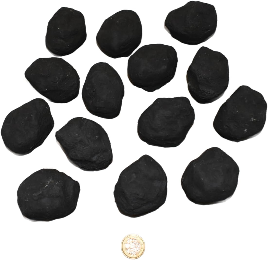 Gas Fire Replacement Charcoal for Real Flame Fireplace (Pack of 14)