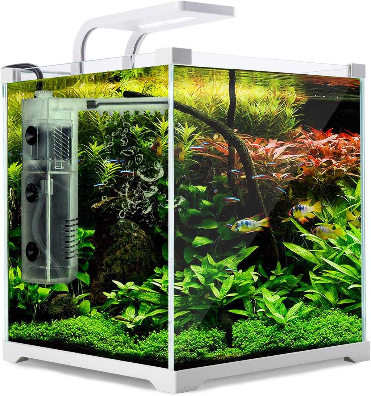 Dynamic Power 16L Starfire Glass Aquarium Fish Tank with 5W LED Light, 3W Filter Pump, for Freshwater & Saltwater Fish, Easy Setup image number 2
