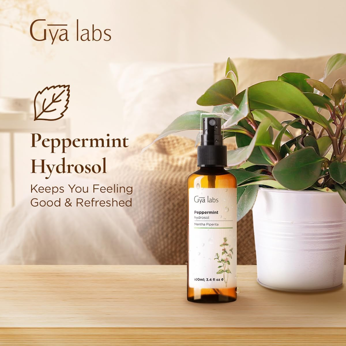 Gya Labs Peppermint Hydrosol for Skin, Hair (100Ml) - Peppermint Floral Water Hydrosol Toner for Face & Aromatherapy - Cooling Mist Aromatic Spray for Refreshing Home, Pillows & Linens image number 3