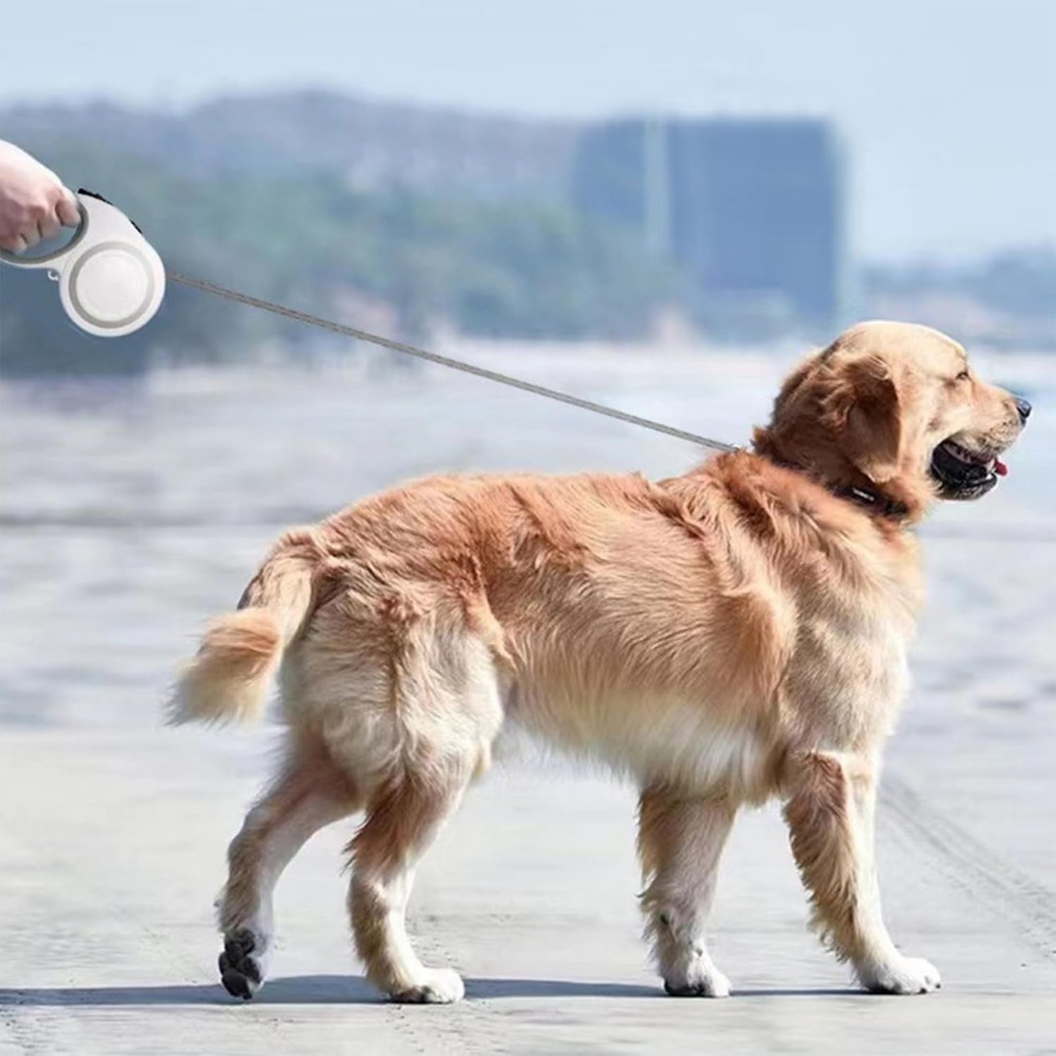 XCXQ 360&deg; Retractable Dog Leash, Strong Reflective Nylon Tape Lead 16 Ft Dog Walking Leash, up to 66Lbs, Anti-Slip Rubberized Handle, One-Handed Brake, Tangle Free, White-Gray (Medium)