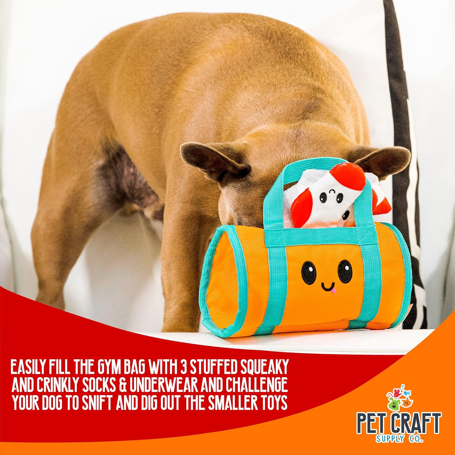 Pet Craft Multipiece Dog Toy- Gym Bag image number 3