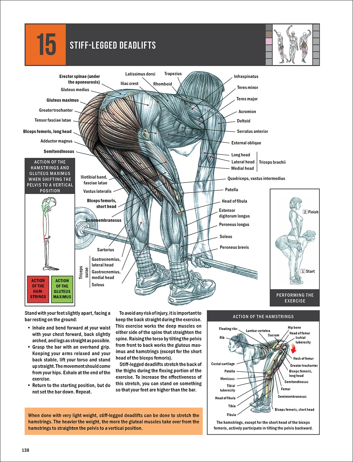 Strength Training Anatomy image number 4